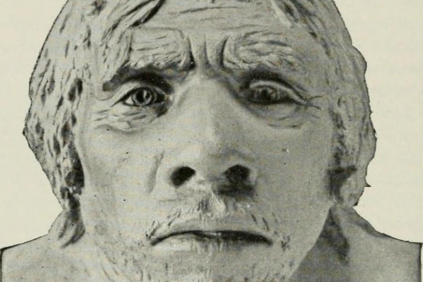 Model face of a Neanderthal. Photo: Internet Archive Book Images / Wikimedia Commons